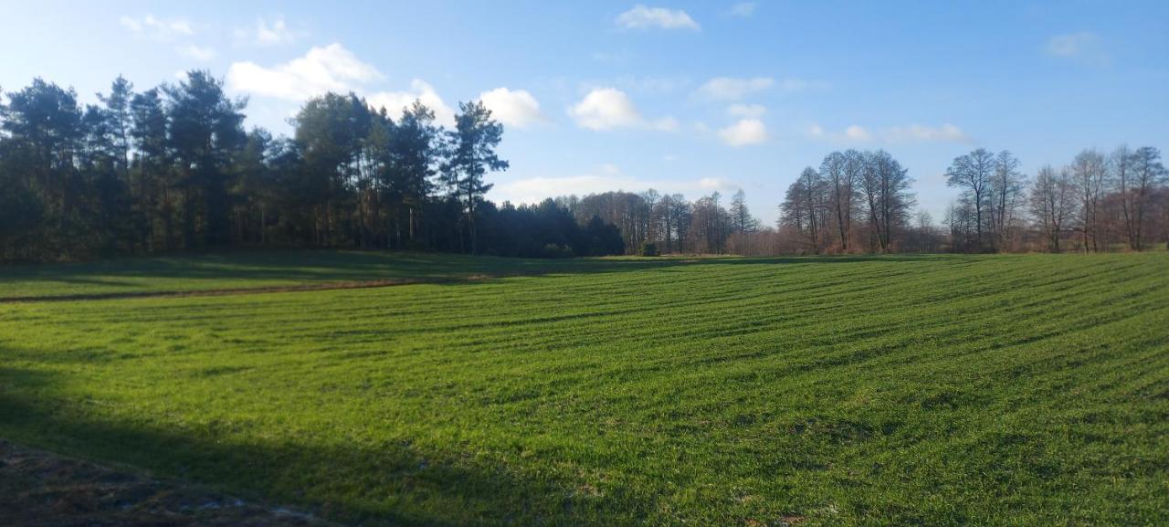 Domek Do Wynajecia - Siedlisko Przy Lesie Rzasnik Exteriör bild